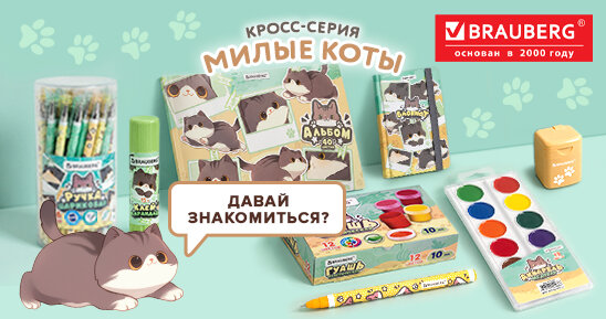 Кросс-серии BRAUBERG: экскурсия в мир МИЛЫХ КОТОВ