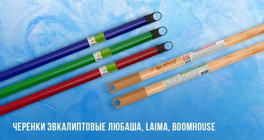 Черенки эвкалиптовые ЛЮБАША, LAIMA, BOOMHOUSE