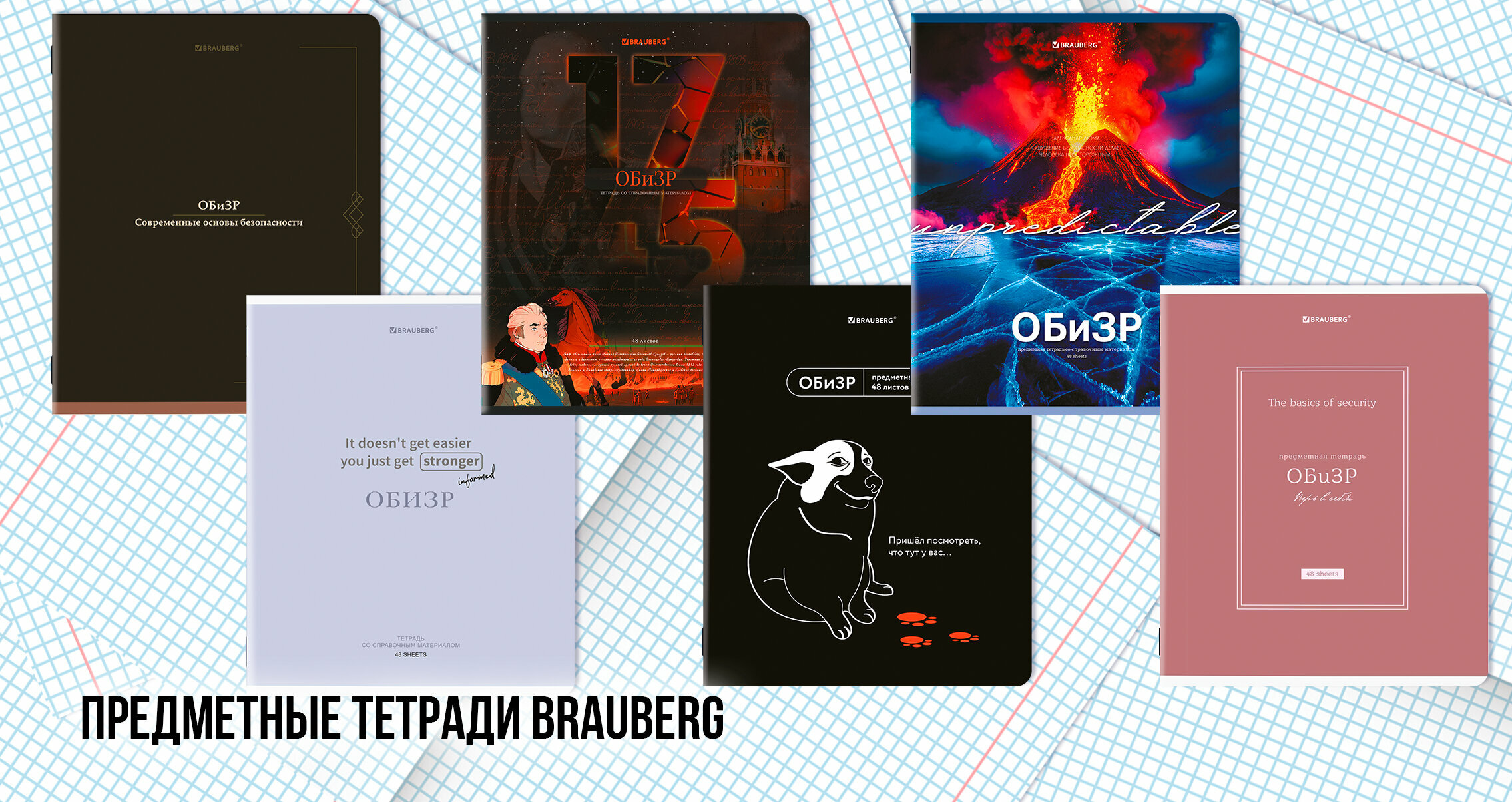 Предметные тетради BRAUBERG