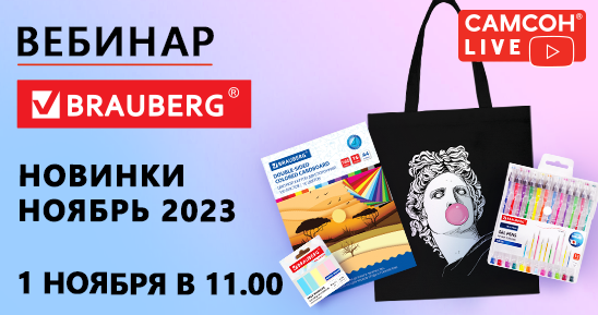 548x289рх_Заглушка-Новинки-бренда-BRAUBERG.png